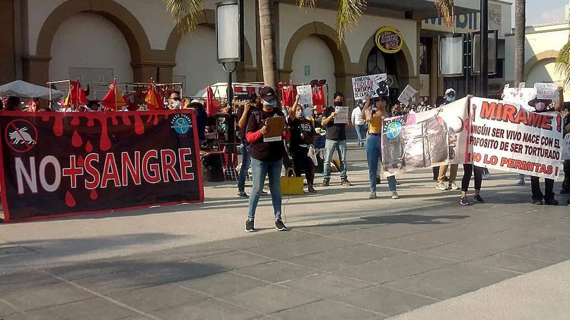 Antitaurinos en manifestación